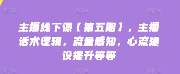 主播线下课【第五期】，主播话术逻辑，流量感知，心流建设提升等等