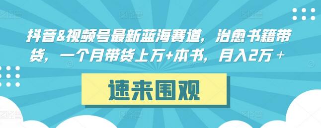 抖音&视频号最新蓝海赛道，治愈书籍带货，一个月带货上万+本书，月入2万＋