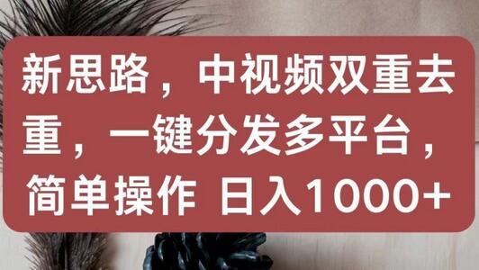 新思路,中视频双重去重,一键分发多平台,简单操作,日入1000+