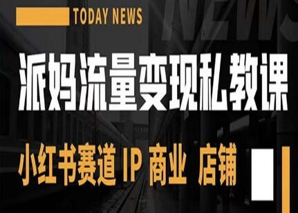 派妈流量变现私教课,小红书赛道IP 商业 店铺