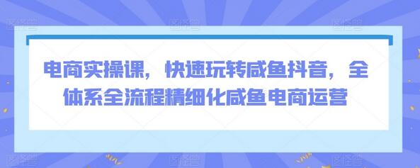 电商实操课，快速玩转咸鱼抖音，全体系全流程精细化咸鱼电商运营