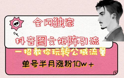 全网独家抖音图文矩阵引流，一招教你玩转公域流量，单号半月涨粉10w+