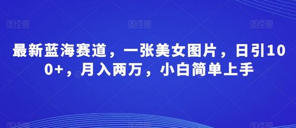 最新蓝海赛道,一张美女图片,日引100+,月入两万,小白简单上手