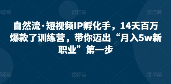 自然流·短视频IP孵化手,14天百万爆款了训练营,带你迈出“月入5w新职业”第一步
