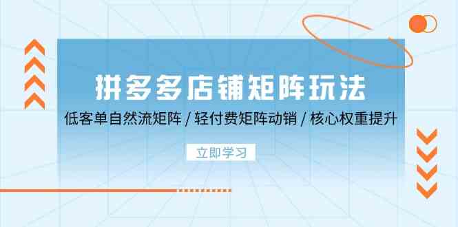 拼多多店铺矩阵玩法:低客单自然流矩阵 / 轻付费矩阵 动销 / 核心权重提升
